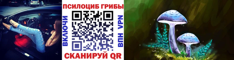 Галлюциногенные грибы MAGIC MUSHROOMS  Купить где  Иланский 